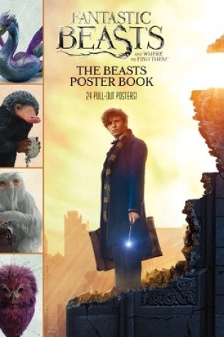 Cover of The Beasts Poster Book