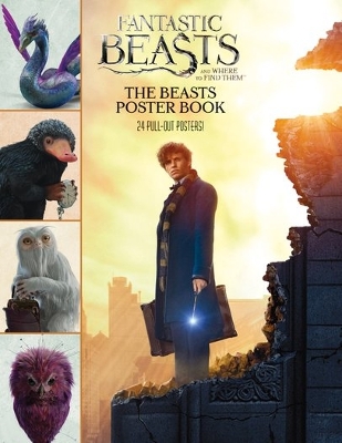 Book cover for The Beasts Poster Book