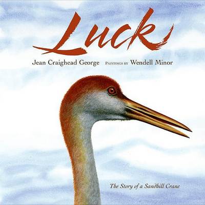 Book cover for Luck