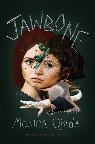 Cover of Jawbone