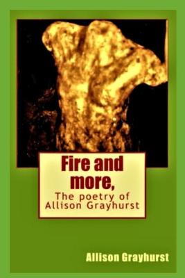 Book cover for Fire and more,