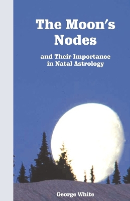 Book cover for The Moon's Nodes