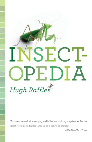 Book cover for Insectopedia