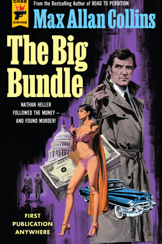 Cover of The Big Bundle