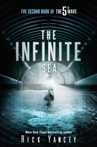 Book cover for The Infinite Sea