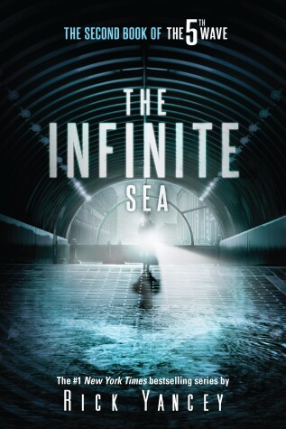 Book cover for The Infinite Sea
