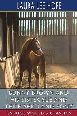 Book cover for Bunny Brown and His Sister Sue and Their Shetland Pony (Esprios Classics)