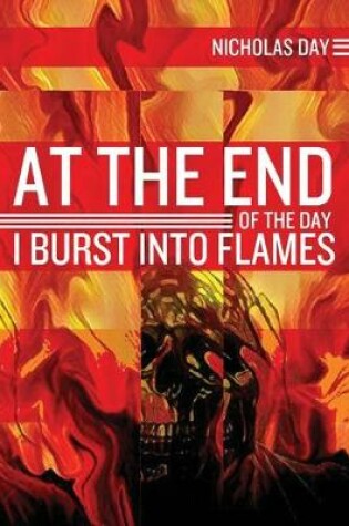 Cover of At the End of the Day I Burst Into Flames