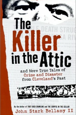 Cover of The Killer in the Attic
