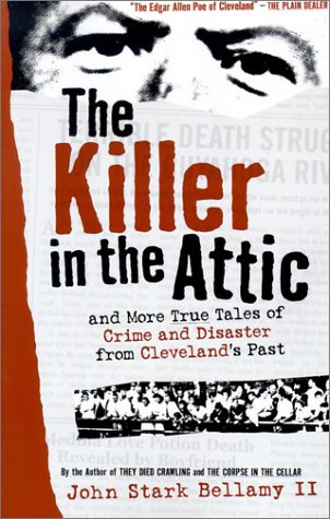 Book cover for The Killer in the Attic