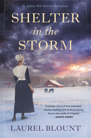 Cover of Shelter in the Storm