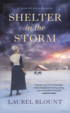 Cover of Shelter in the Storm