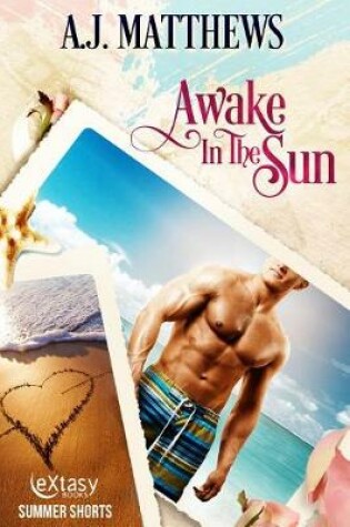 Cover of Awake in the Sun