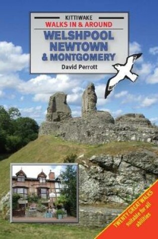 Cover of Walking Around Welshpool, Newtown and Montgomery