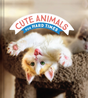 Book cover for Cute Animals for Hard Times