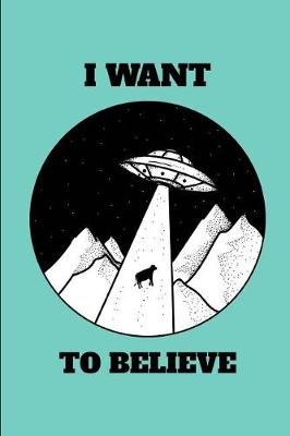 Book cover for I Want to Believe