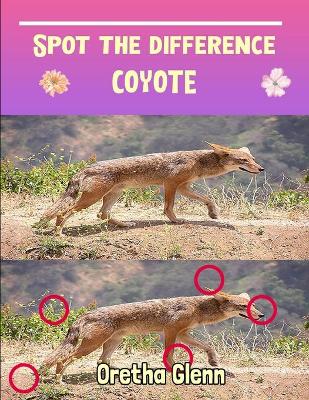 Book cover for Spot the difference Coyote