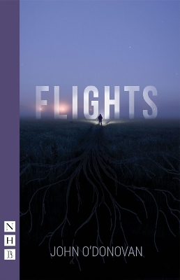 Book cover for Flights