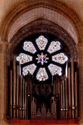 Book cover for Stained Glass Window with Organ Pipes in Cathedral Journal