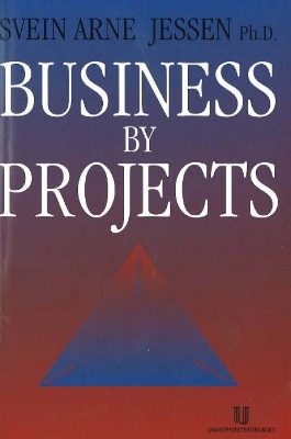 Book cover for Business by Projects