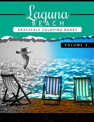 Book cover for Laguna Beach Volume 3