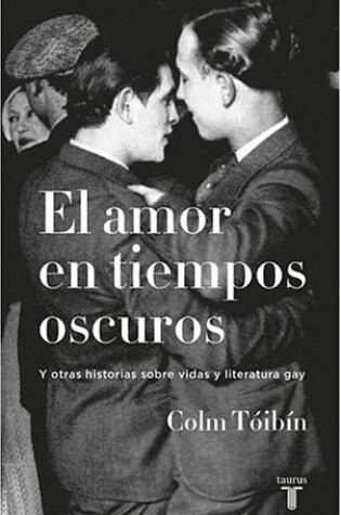 Cover of El Amor en Tiempos Oscuros y Otras Historias Sobre Vidas y Literatura Gay