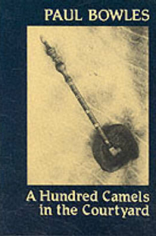 Cover of A Hundred Camels in the Courtyard