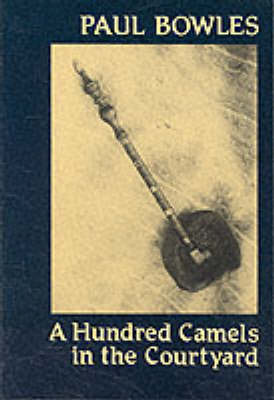 Book cover for A Hundred Camels in the Courtyard
