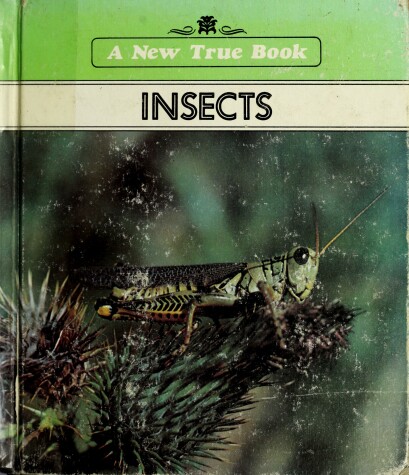 Cover of Insects