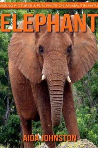 Cover of Elephant