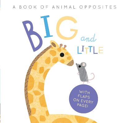 Book cover for Big and Little