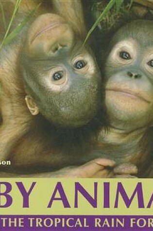 Cover of Baby Animals of the Tropical Rain Forest