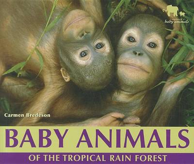 Cover of Baby Animals of the Tropical Rain Forest