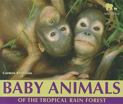 Book cover for Baby Animals of the Tropical Rain Forest