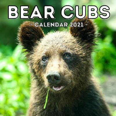 Cover of Bear Cubs Calendar 2021