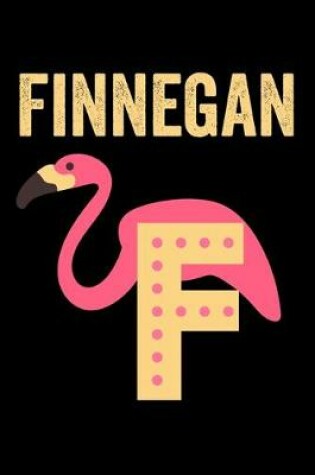 Cover of Finnegan