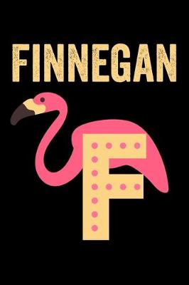 Book cover for Finnegan