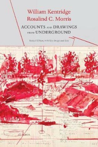 Cover of Accounts and Drawings from Underground
