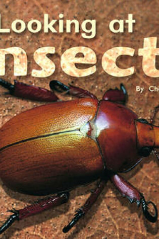 Cover of Looking at Insects