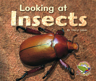 Book cover for Looking at Insects