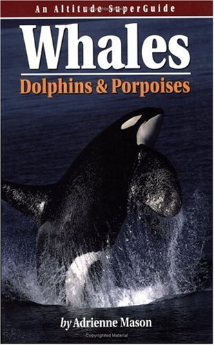 Book cover for Whales, Dolphins and Porpoises