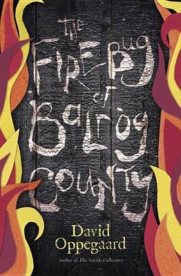 Book cover for The Firebug of Balrog County
