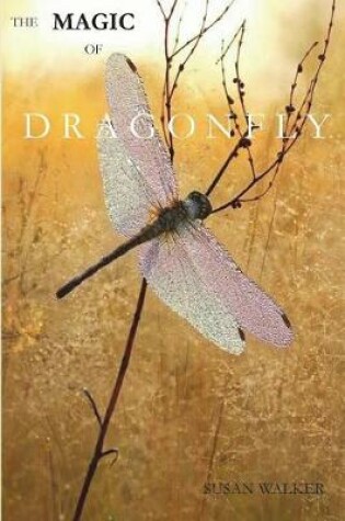 Cover of The Magic of Dragonfly