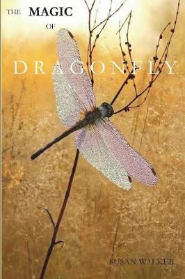 Book cover for The Magic of Dragonfly