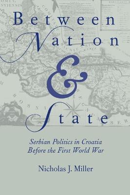 Book cover for Between Nation and State