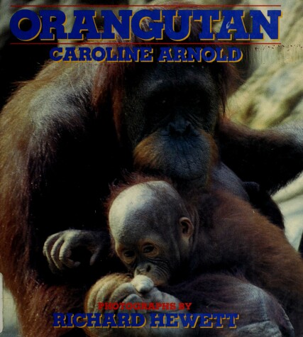 Book cover for Orangutan