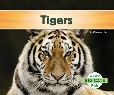 Book cover for Tigers