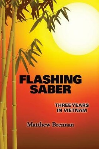 Cover of Flashing Saber