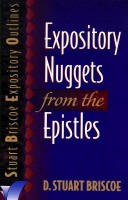 Book cover for Expository Nuggets from the Epistles