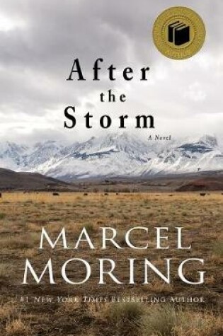 Cover of After the Storm